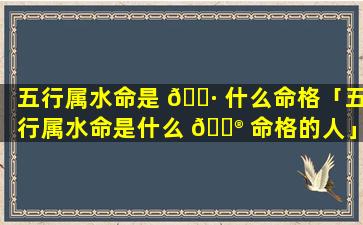 五行属水命是 🌷 什么命格「五行属水命是什么 💮 命格的人」